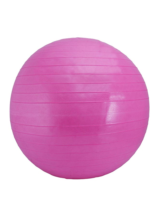 TA SPORTS Anti Resistant Gym Ball 55cm 