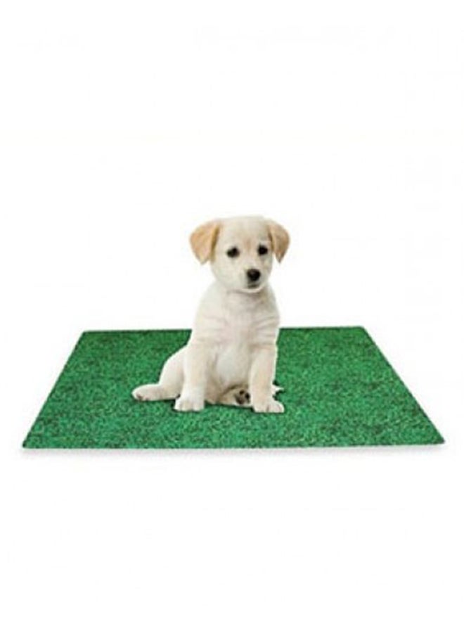 Potty Training Mat Green 24x29cm