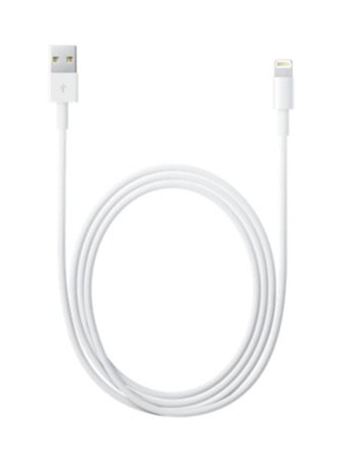 Dowin - USB Sync Data Charging Cable For Apple iPhone5S/5/ipod Touch 5 White - Image 1