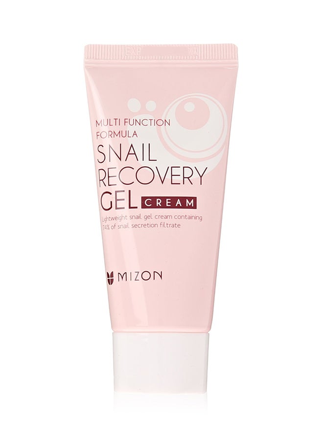 MIZON - Snail Recovery Gel Cream - Image 1