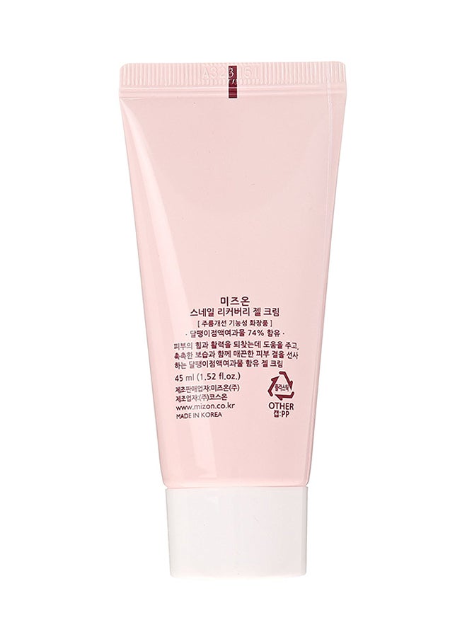 MIZON - Snail Recovery Gel Cream - Image 1