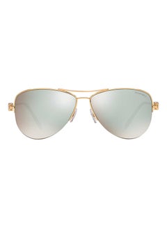 Women's Bug Eye Frame Sunglasses TF3035