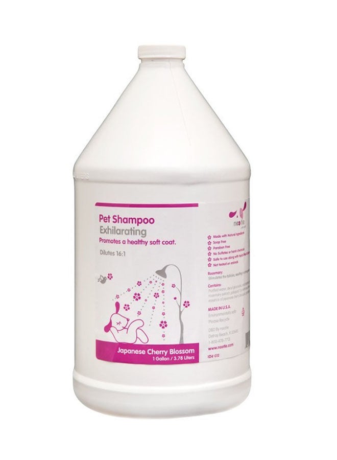 nootie Japanese Cherry Blossom Pet Shampoo