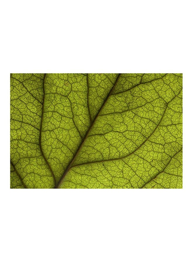 Celestron Amoeba Dual Purpose Digital Microscope - Image 3