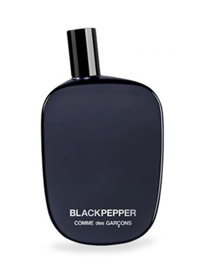 COMME DES GARCONS Black Pepper EDP 100ml - Image 1