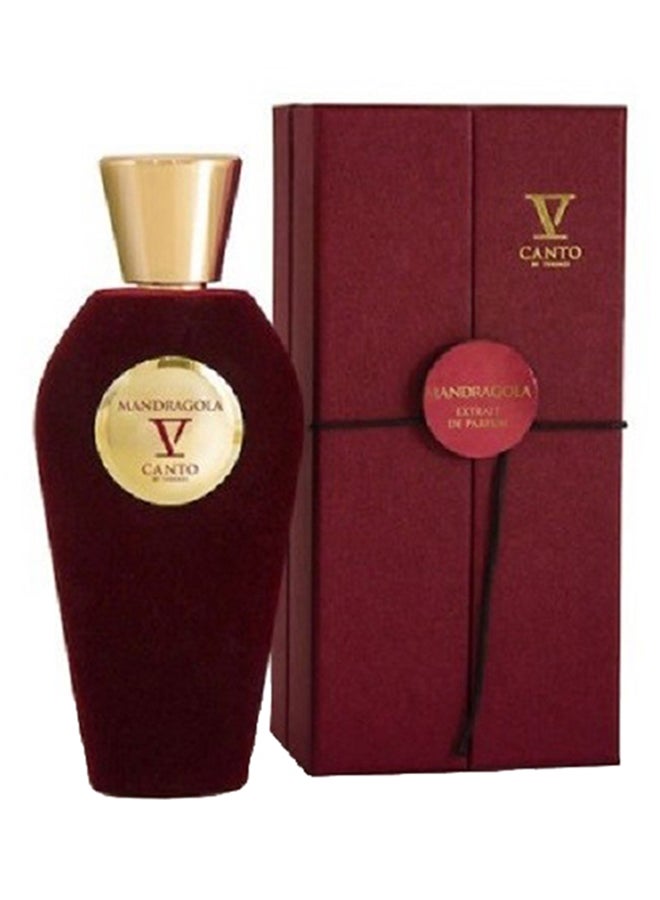 V Canto - Mandragola EDP 100ml - Image 1