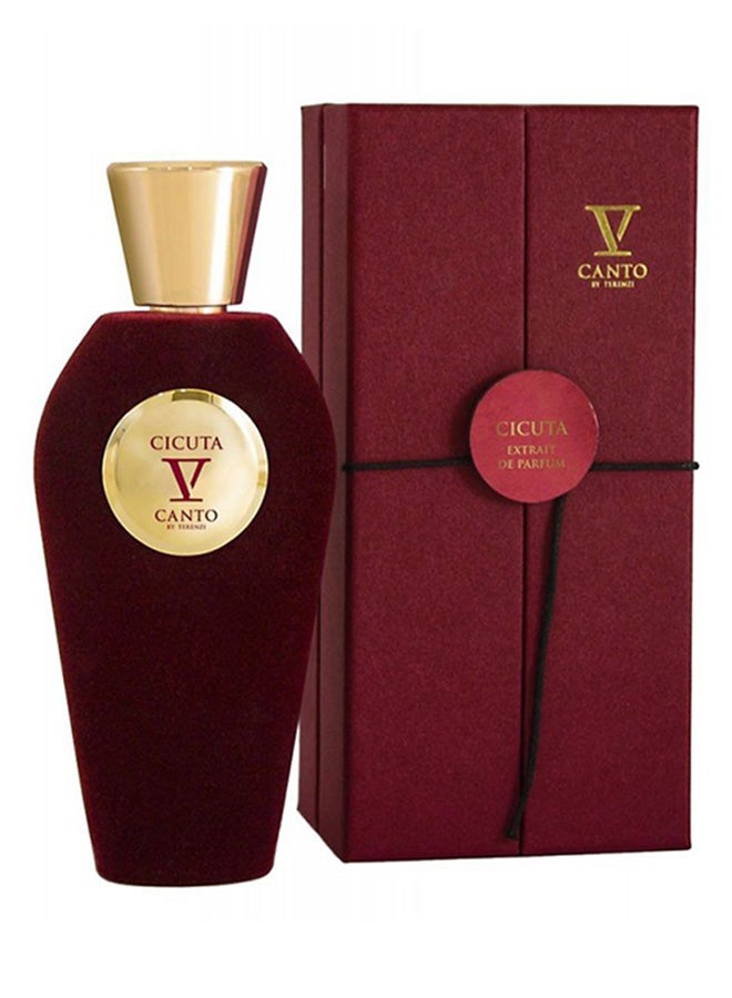V Canto Cicuta EDP 100ml - Image 2