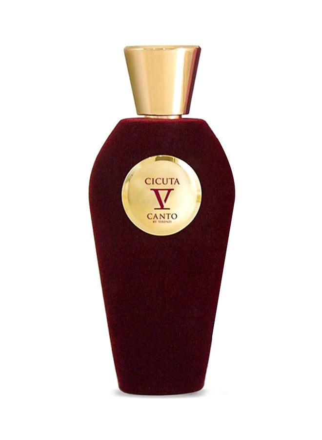 V Canto Cicuta EDP 100ml - Image 1