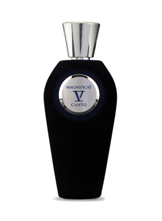 Magnificat EDP 100ml - v1515389632/N11201842A_1