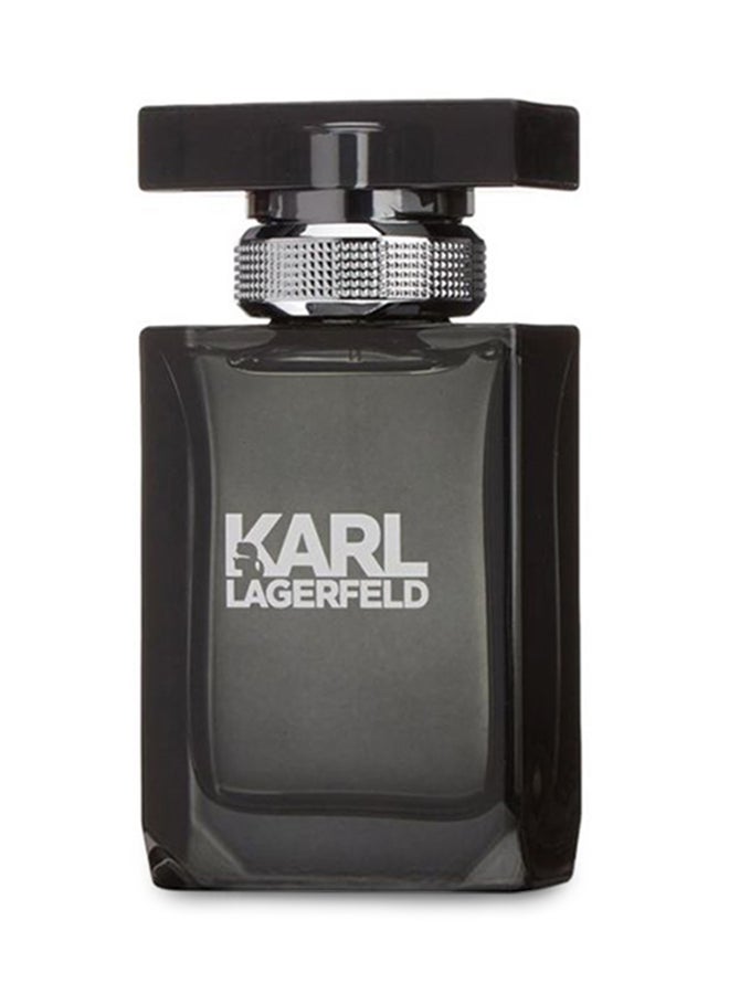 Karl Lagerfeld EDT 100ml - Image 1