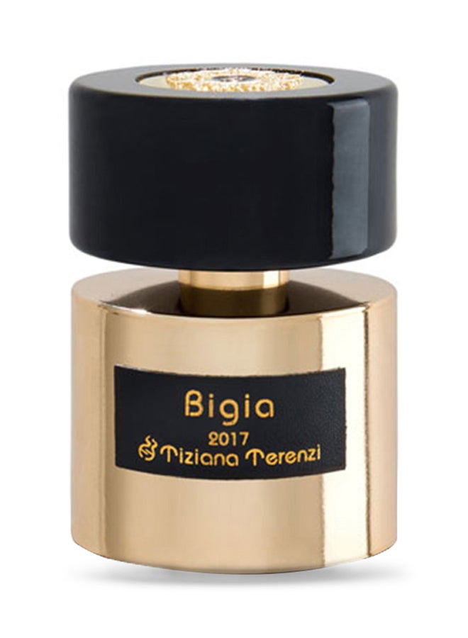 Tiziana Terenzi Bigia EDP 100ml - Image 1