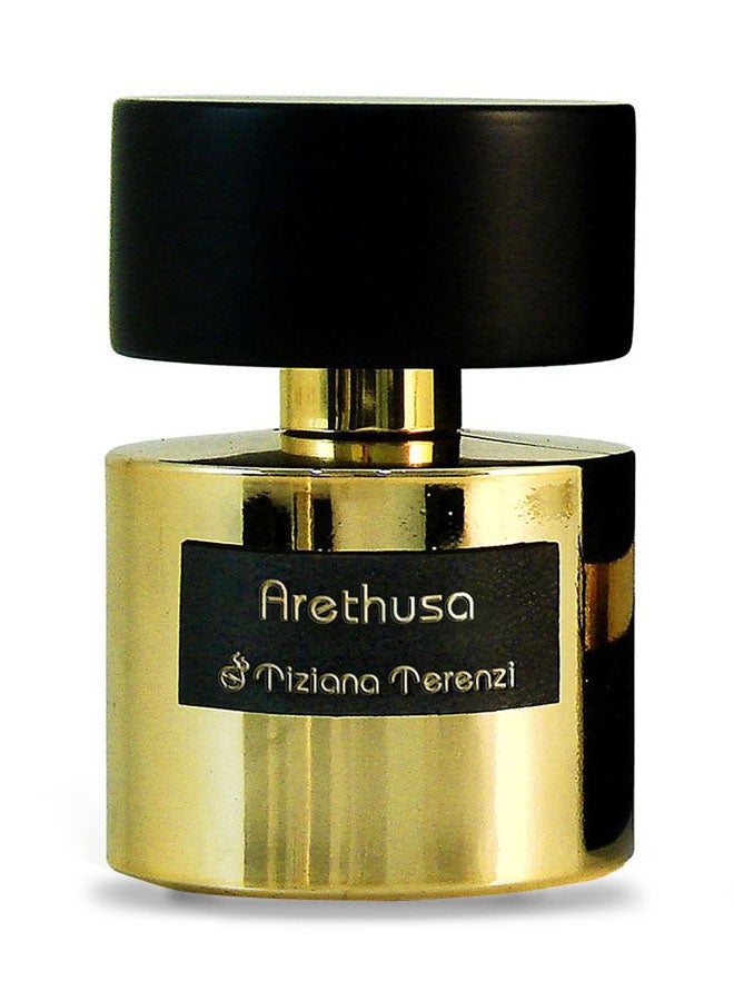 Arethusa EDP 100ml - v1515395943/N11805863A_1