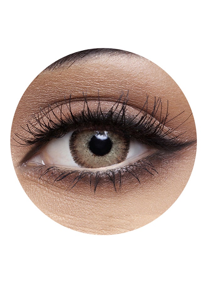 Anesthesia Anesthetic Shadow (Brown Hazel) 6 Months Disposable Contact Lenses  - Image 1