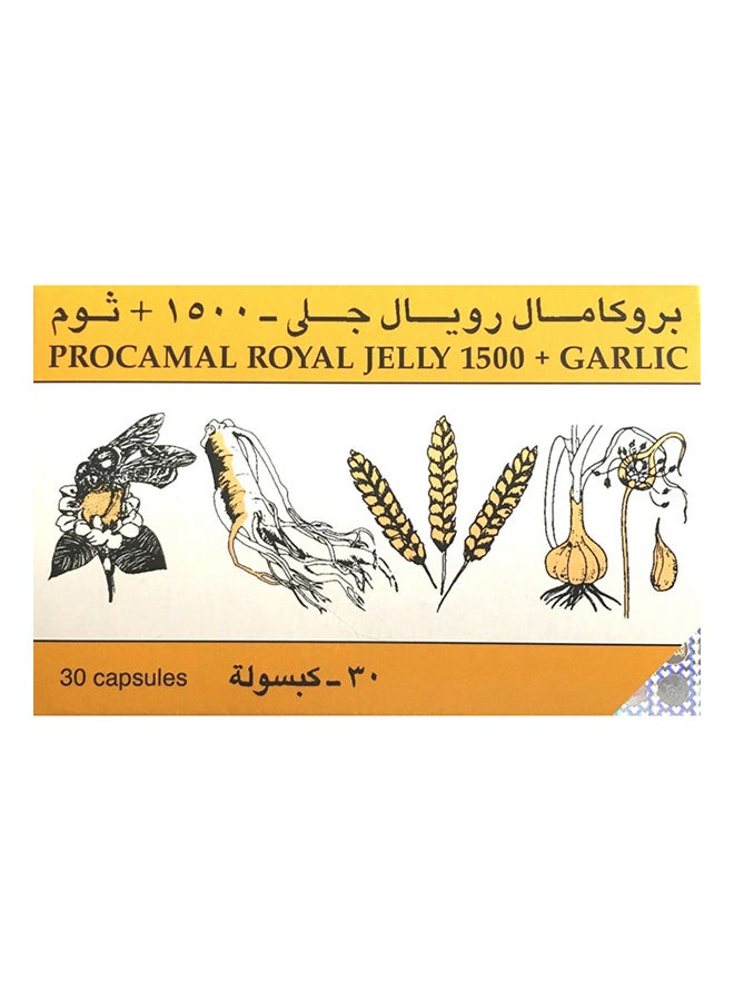PROCAMAL Royal Jelly 1500 + Garlic - Image 2