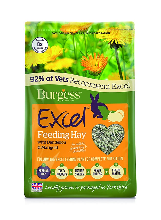 Burgess Excel Feeding Hay With Dandelion And Marigold 1kg 