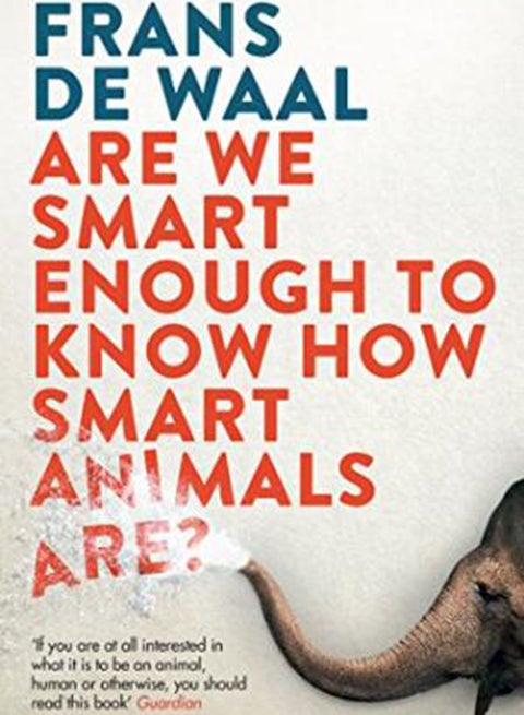 Are We Smart Enough to Know How Smart Animals Are? Paperback English by Frans De Waal - 42922