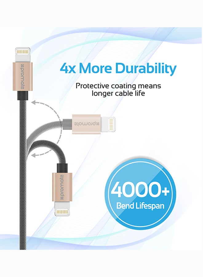 iPhone Cable, Heavy Duty MFi Certified Mesh-Armoured Lightning To USB Charge And Sync Cable With Short-circuit Protection For iPhone, iPad, iPod Gold/Black