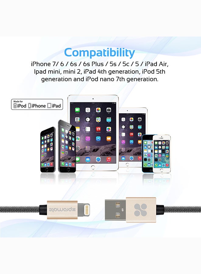 iPhone Cable, Heavy Duty MFi Certified Mesh-Armoured Lightning To USB Charge And Sync Cable With Short-circuit Protection For iPhone, iPad, iPod Gold/Black