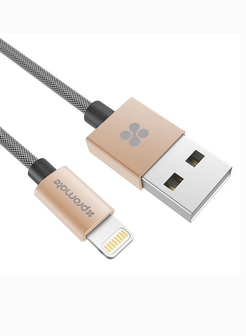 iPhone Cable, Heavy Duty MFi Certified Mesh-Armoured Lightning To USB Charge And Sync Cable With Short-circuit Protection For iPhone, iPad, iPod Gold/Black