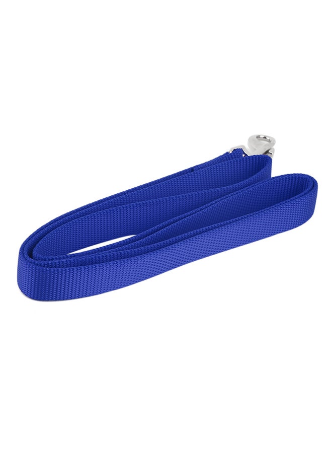 أوتاد مقود للحيوانات الأليفة للتدريب والامتثال للأوامر أزرق ملكي - Image 4