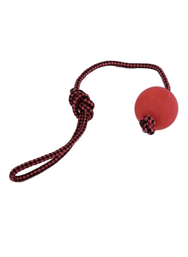 OUTAD Chew Ball Tooth Cleaning Training Toy Red 50x50x50mm - Image 3