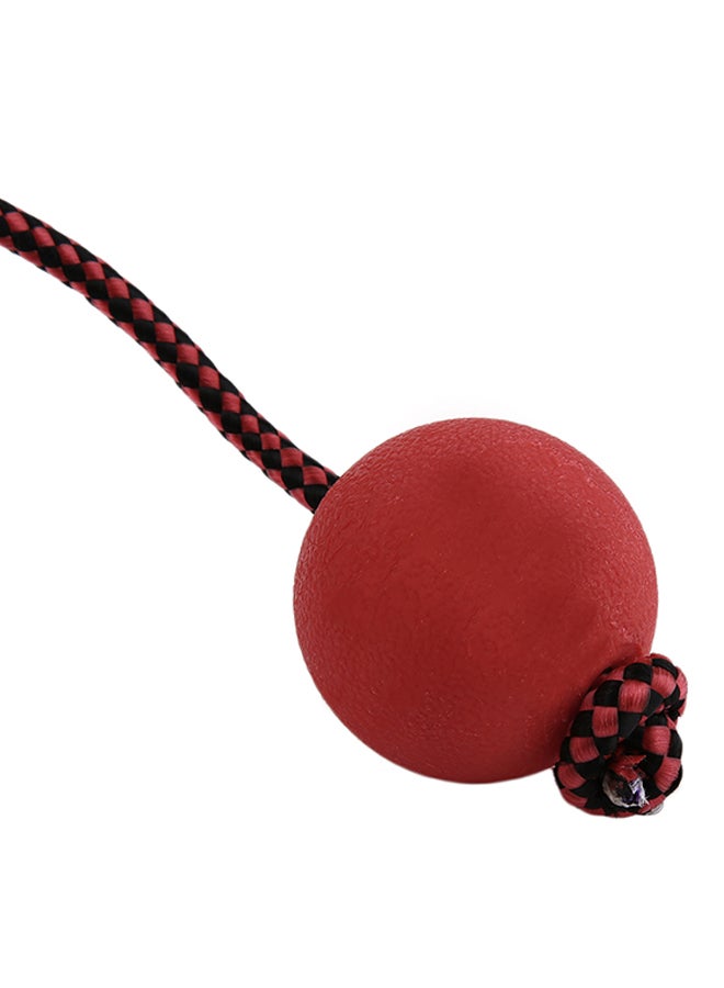 OUTAD Chew Ball Tooth Cleaning Training Toy Red 50x50x50mm - Image 2