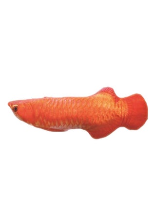 Red Arowana
