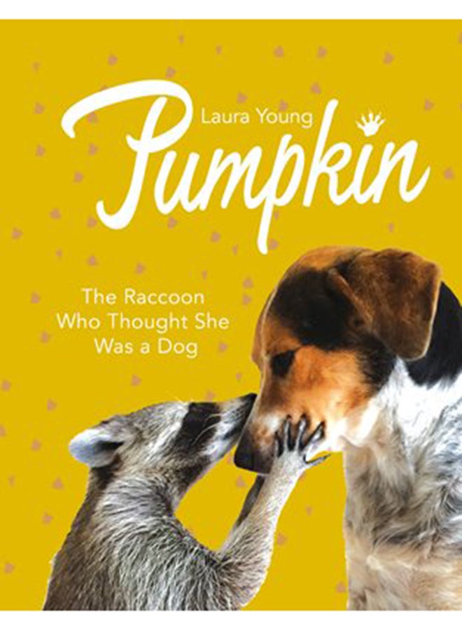 Pumpkin: The Raccoon Who Thought She Was a Dog - Hardcover English by Laura Young - 10/20/2016 
