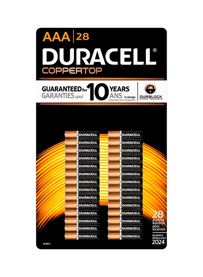 28-Piece Coppertop Alkaline AAA Battery Multicolour - Product Main Image
