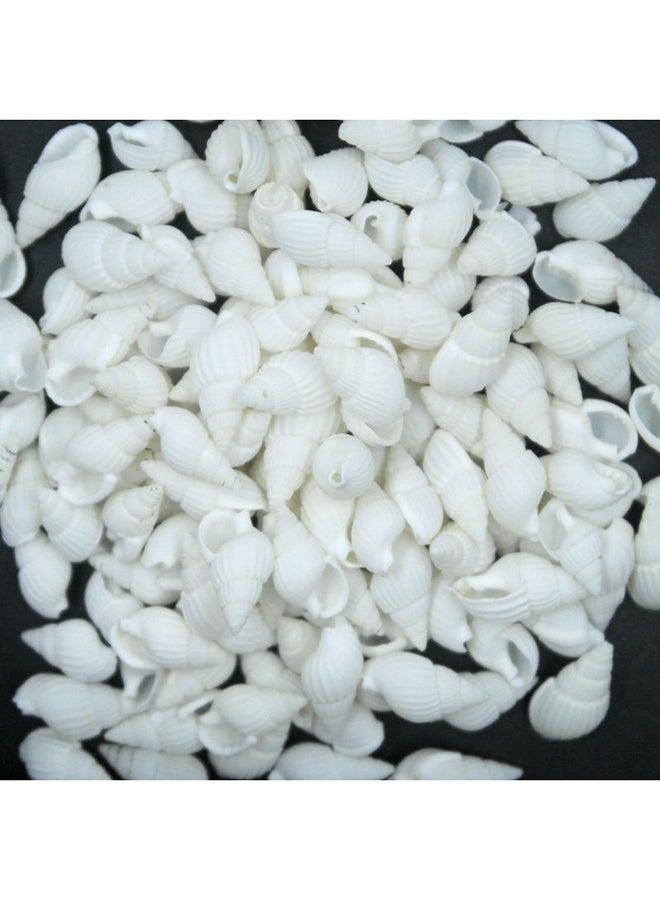 بلولانز 100 قطعة من أصداف محار البحر الحقيقي النادر الجميل لتزيين عيد الميلاد أبيض 1Ø³Ù†ØªÙŠÙ…ØªØ±