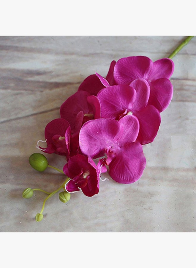 Bluelans Single Piece Artificial Butterfly Orchid Flower Pink/Green 80cm  - Image 3
