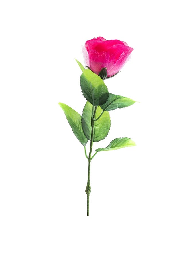 AGD Magic Flower For Amusement  - Image 1
