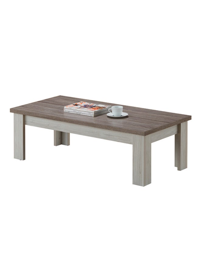 Simple Minimalistic Designed Emily Coffee Table Grey 120x60x40cm - v1521815925/N13805365A_1