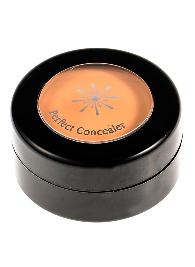 Perfect Concealer Natural Beige - v1522161100/N13885111A_1