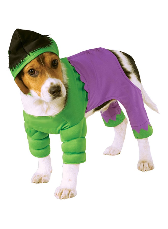 روبيز زيّ تنكريّ للحيوانات بشخصية الرجل الأخضر الخارق - Image 1