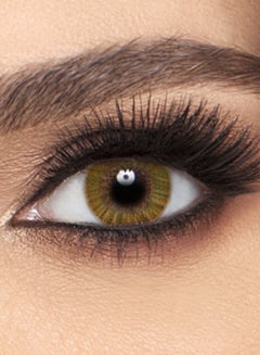 FRESHLOOK Hazel Monthly Disposable Contact Lenses 