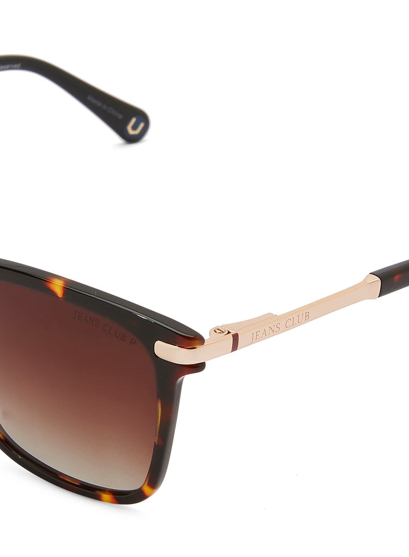 Wayfarer Frame Sunglasses - v1524133663/N14070540A_4