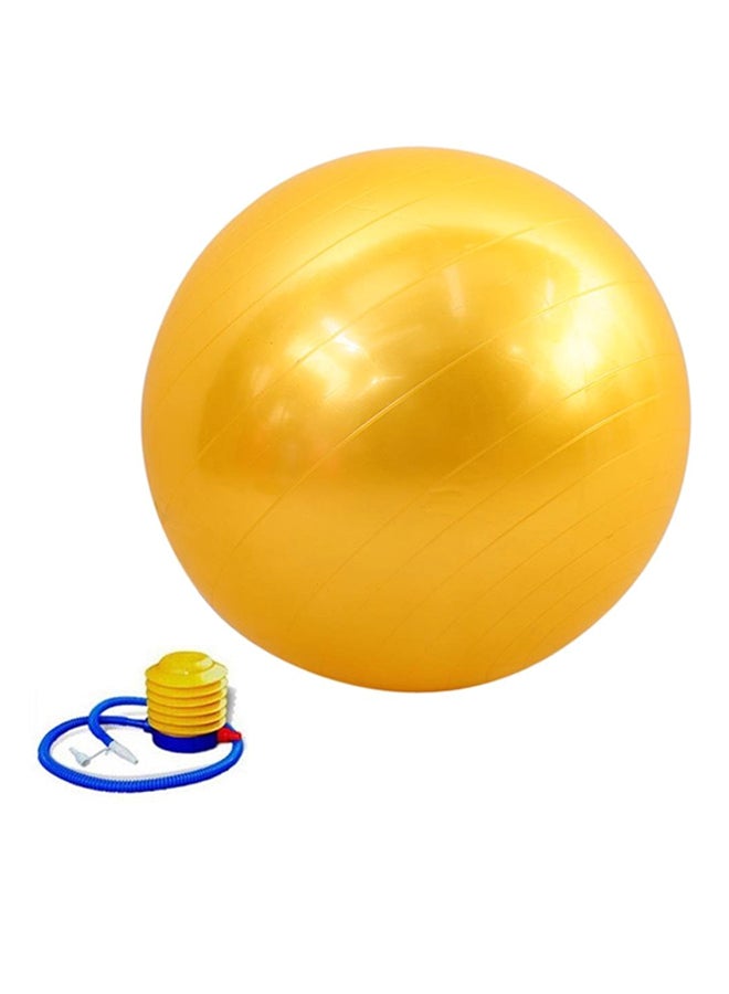 Generic Large Anti-Burst Slip Fitness Ball With Pump 95Cm 