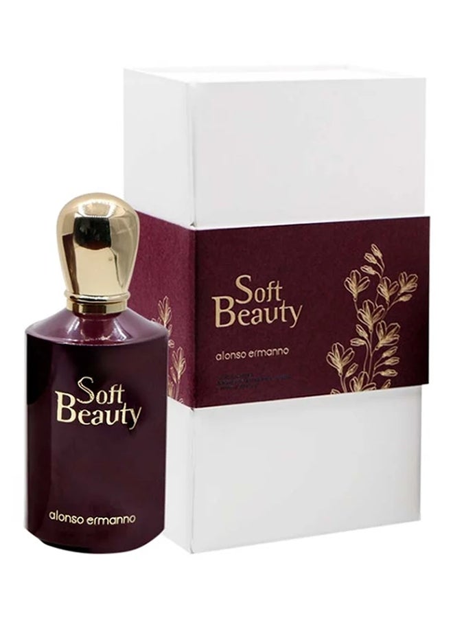 Alonso Ermanno Soft Beauty EDP 100ml  - Image 2