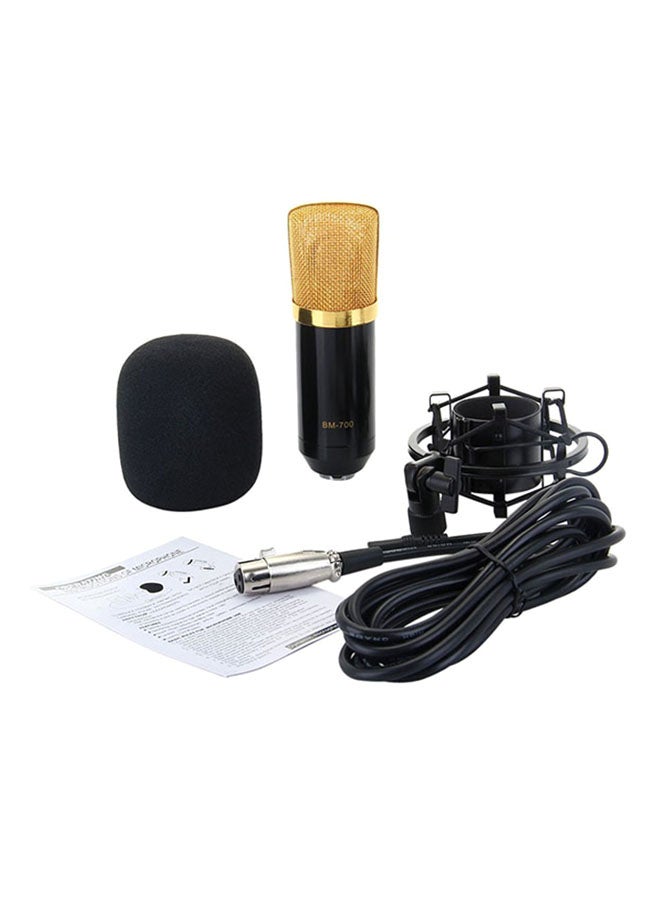 BM-700 Condenser Microphone With Plastic Shock Mount BM-700 Black - Image 1