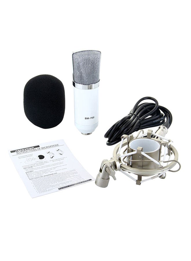 BM-700 Condenser Microphone With Metal Shock Mount BM-700 White  - Image 1