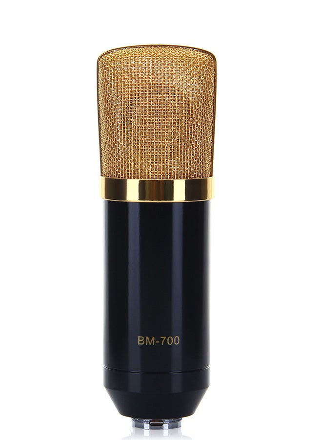 BM-700 Condenser Microphone With Shock Mount BM-700 Black - Image 1