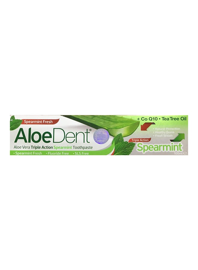AloeDent Spearmint Child Toothpaste 100ml