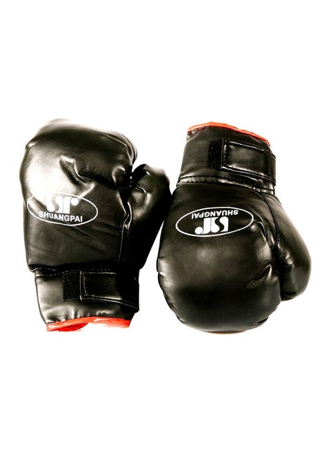 Boxing Gloves Set