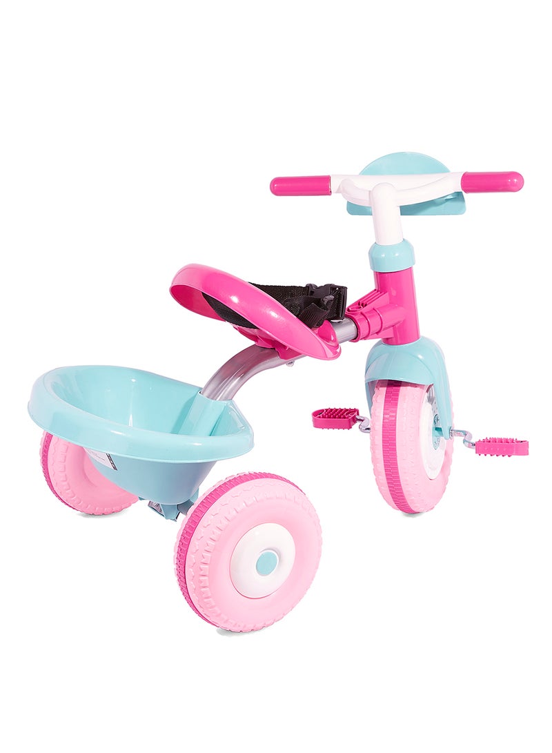 Princess Tricycle - Image 2