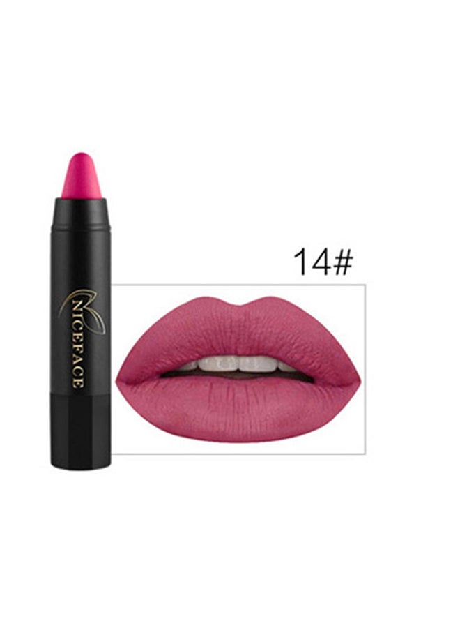 أحمر شفاه مطفأ اللمعة 14