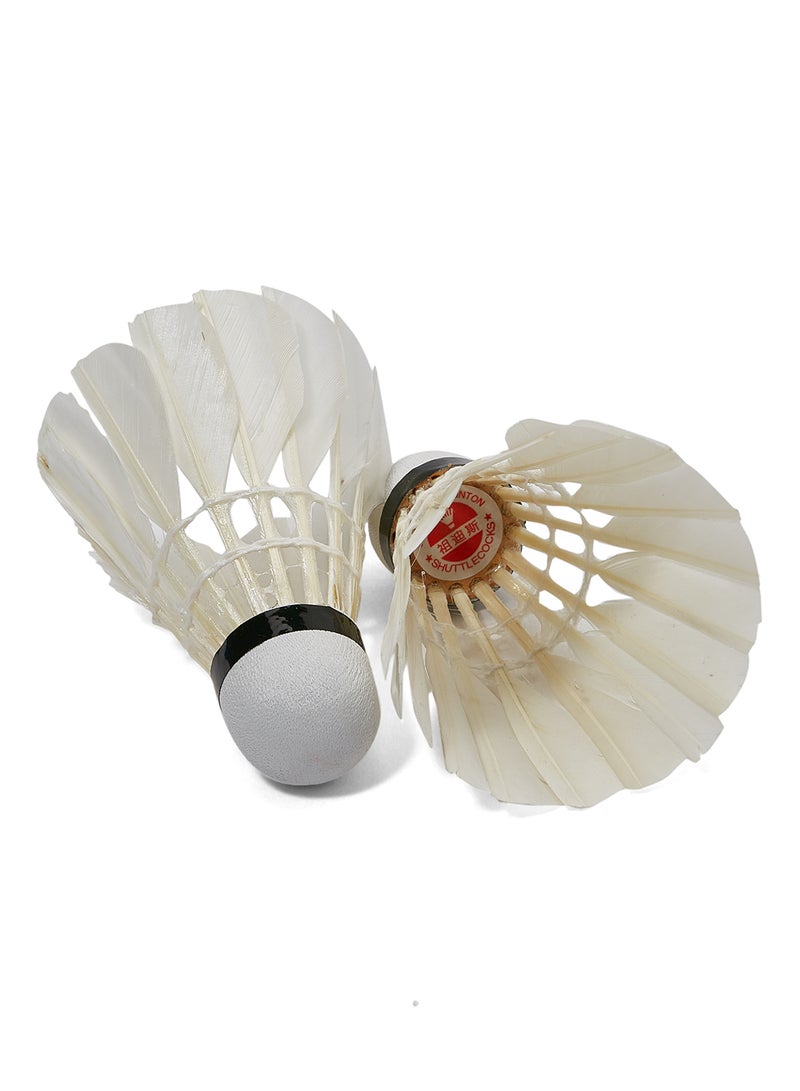 جوريكس طقم كرات الريشة جيت فليون مكون من 3 قطع - Image 2