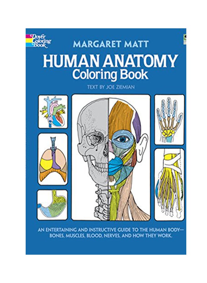 Human Anatomy Coloring Book Paperback English by Margaret Matt - 1982 