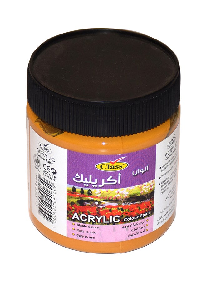 class Acrylic Paint Orange 