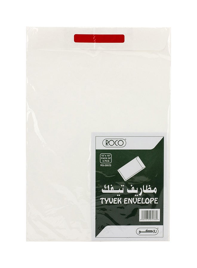 ROCO 5-Piece Tyvek Security Envelope Set White
